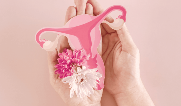 Curso-Perimenopausa-Menopausa(1)